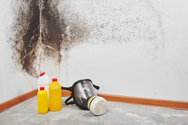 Best Mold Testing  in Jackson, MS