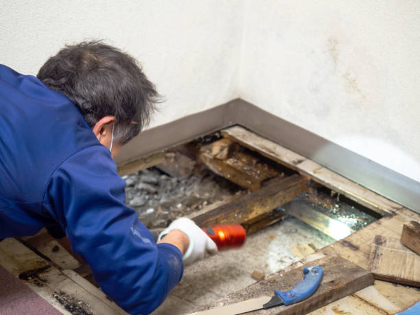 Best Crawl Space Mold Removal  in Jackson, MS