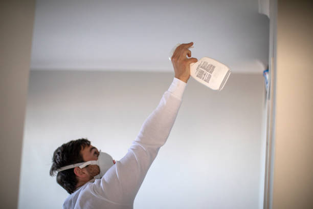 Best Residential Mold Removal  in Jackson, MS
